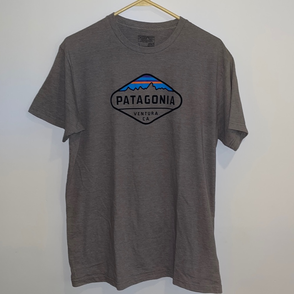 Patagonia L Slim T-Shirt